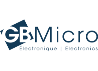 GB Micro logo